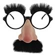 Groucho Marx Glasses